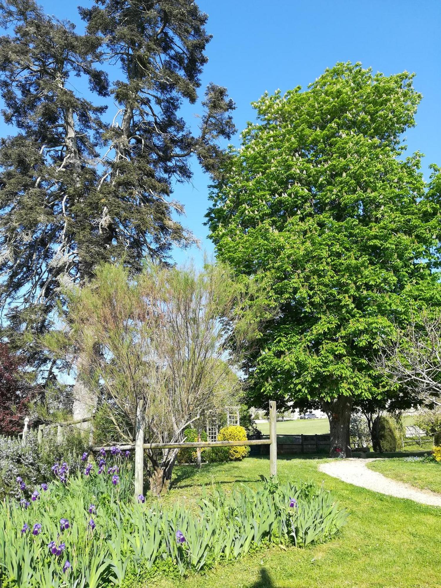 לינה וארוחת בוקר Seuilly Manoir De L'Abbaye מראה חיצוני תמונה